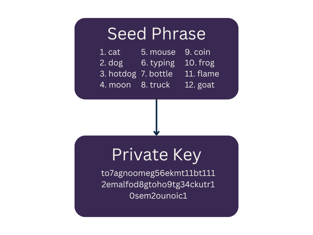 Seed Phrase vs Private Key example