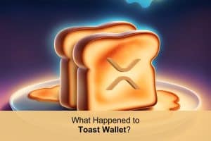 What happened to Toast Wallet